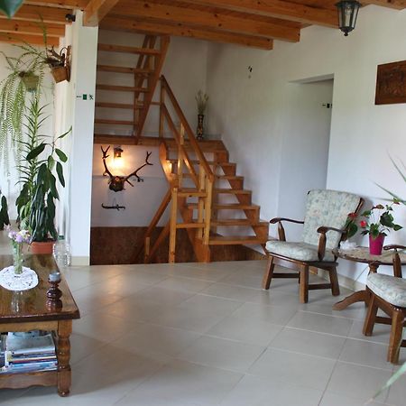 Apartament Casa Altius Felix Băile Felix Zewnętrze zdjęcie