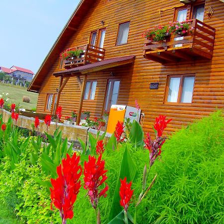 Apartament Casa Altius Felix Băile Felix Zewnętrze zdjęcie