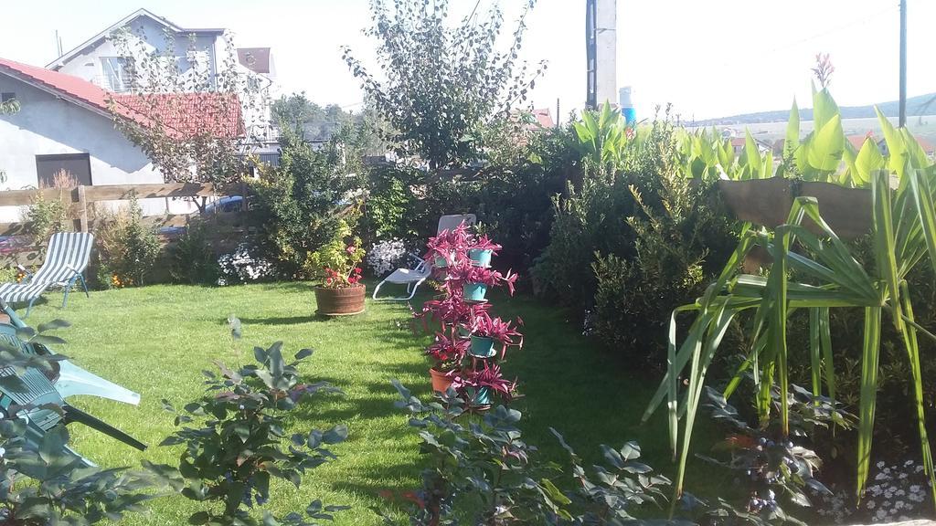Apartament Casa Altius Felix Băile Felix Zewnętrze zdjęcie