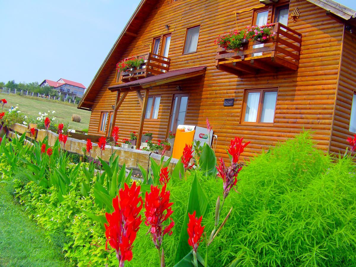 Apartament Casa Altius Felix Băile Felix Zewnętrze zdjęcie
