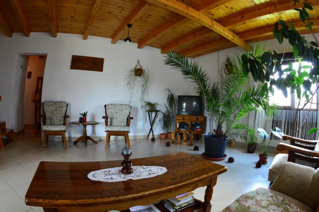 Apartament Casa Altius Felix Băile Felix Zewnętrze zdjęcie